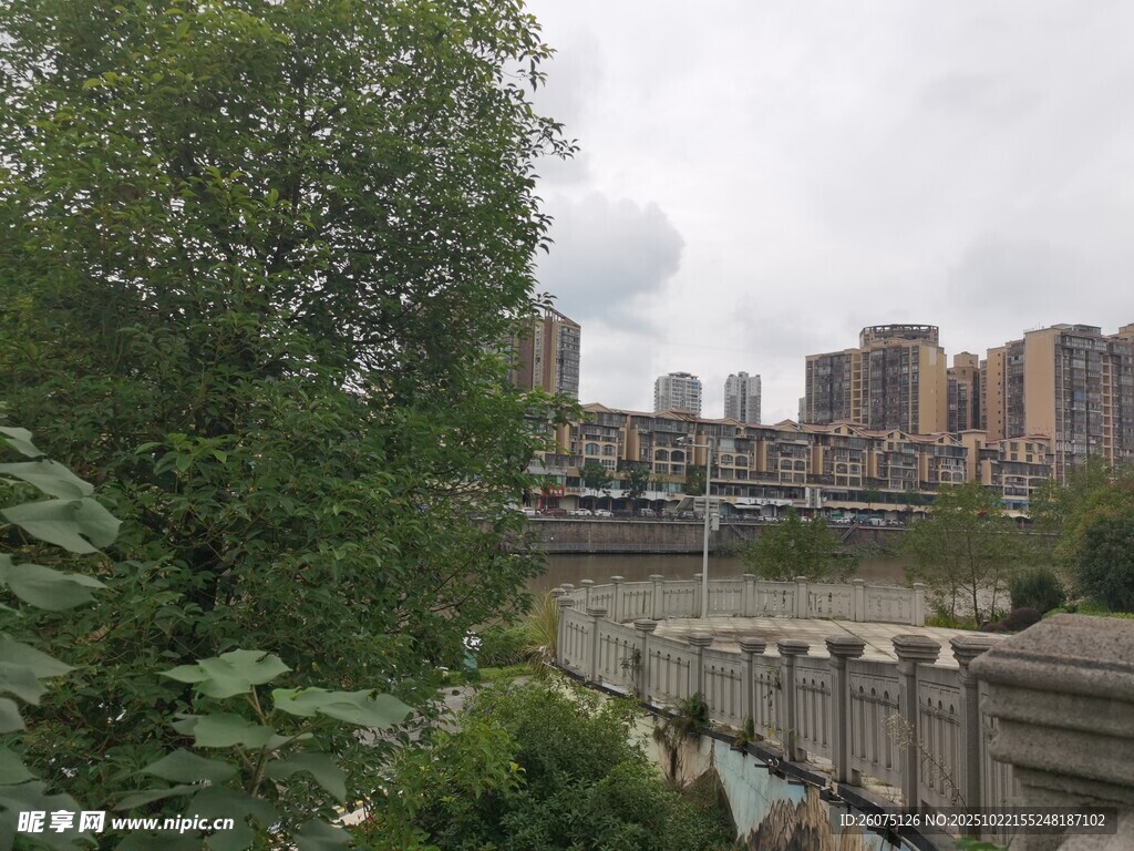 城市河畔绿植与高楼景观