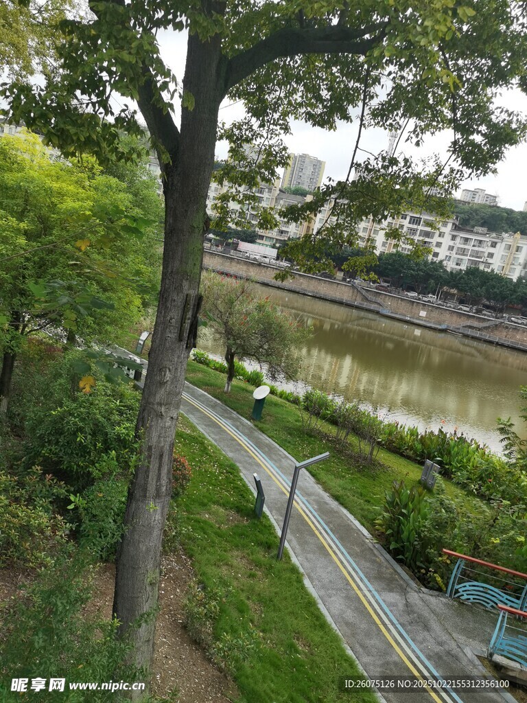 河畔绿荫下的休闲步道