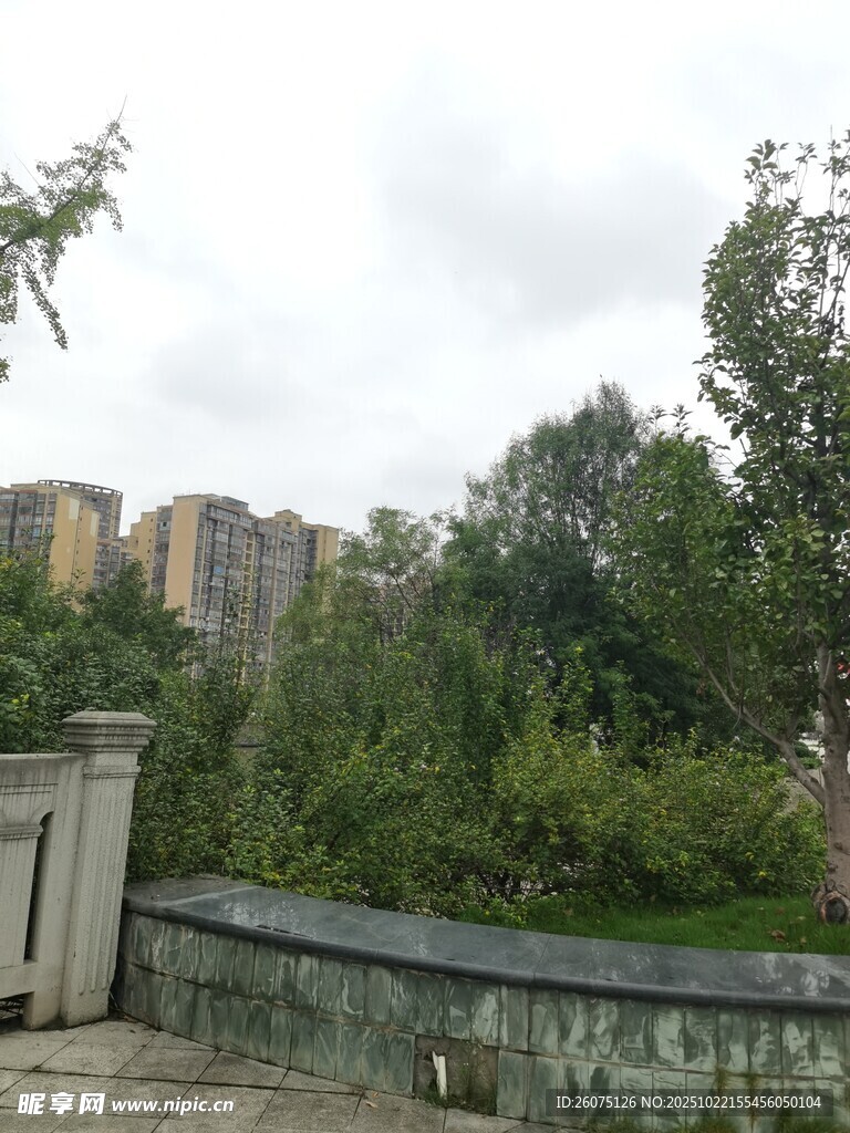 城市边缘的绿树与建筑