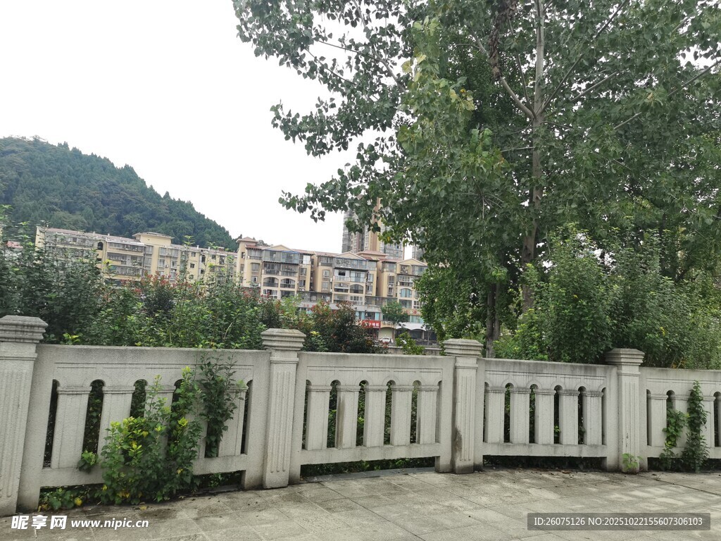 户外围栏旁的绿树与建筑