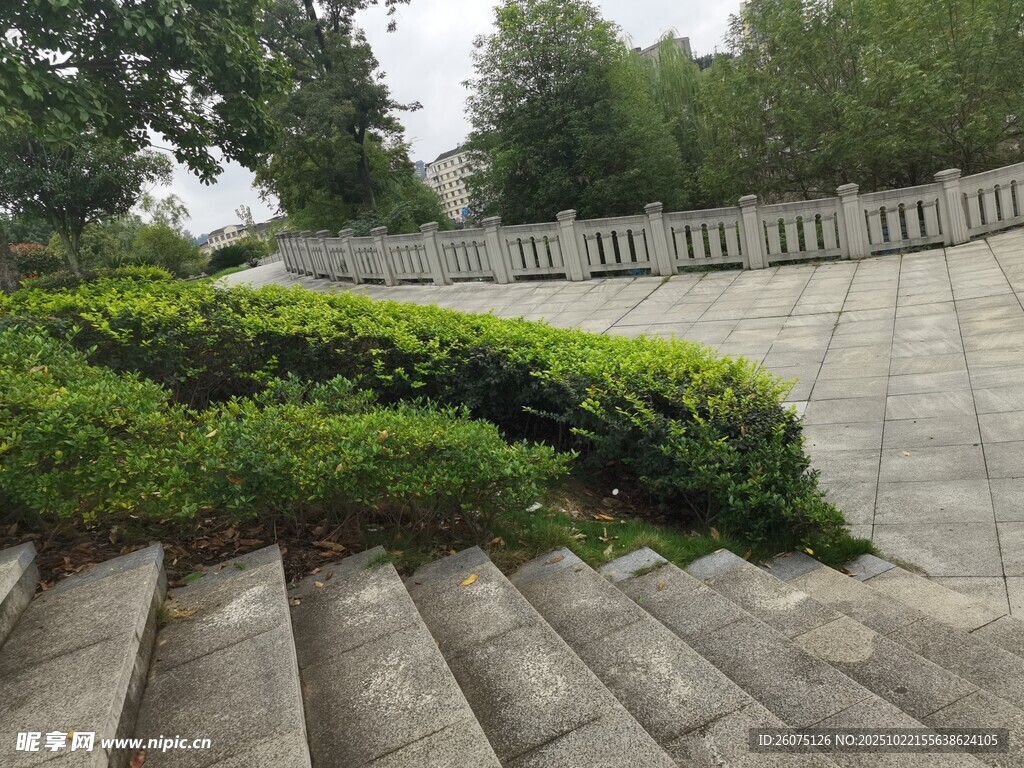 石径旁的绿植景观