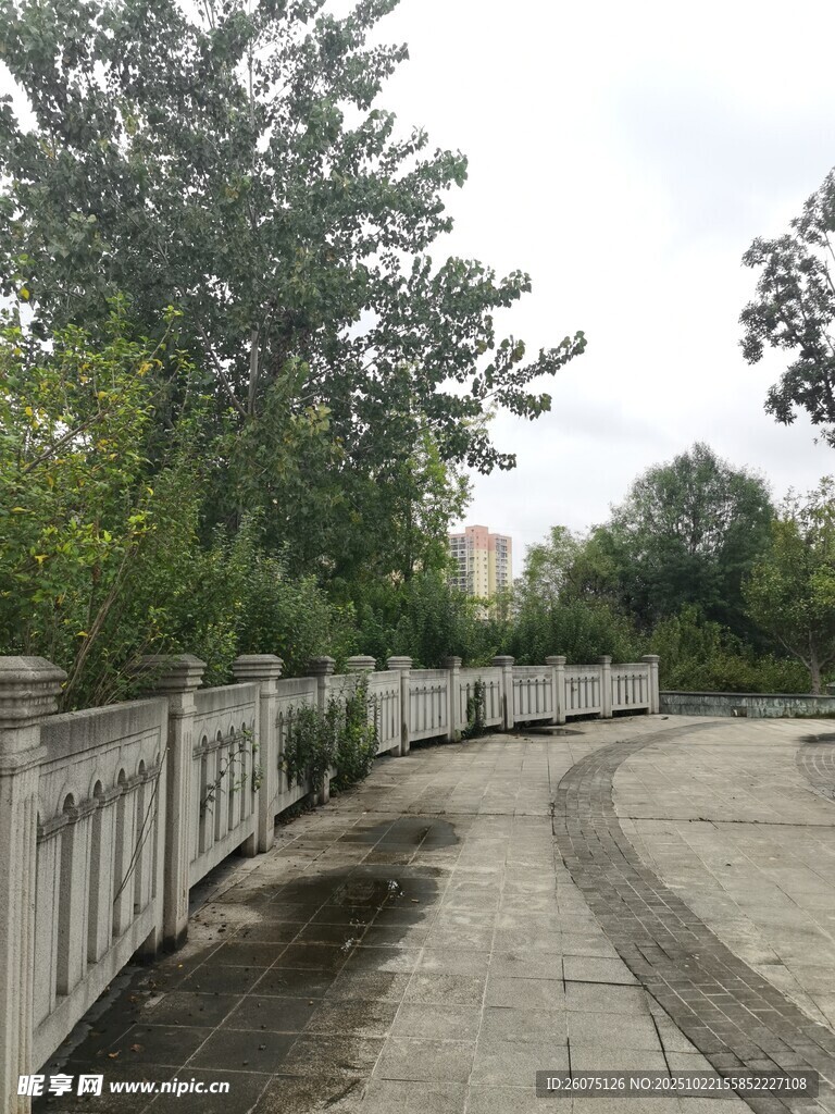 户外林荫下的步道景观