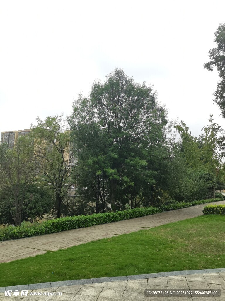 宁静公园绿地景观