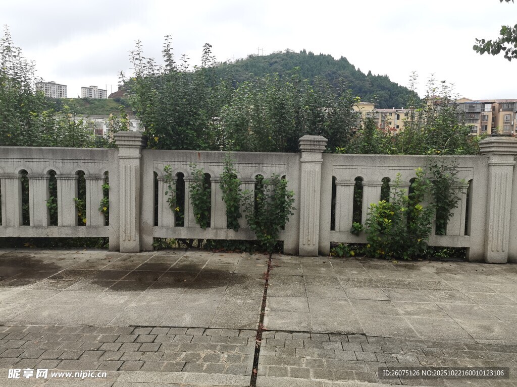 户外水泥地旁的白色围栏