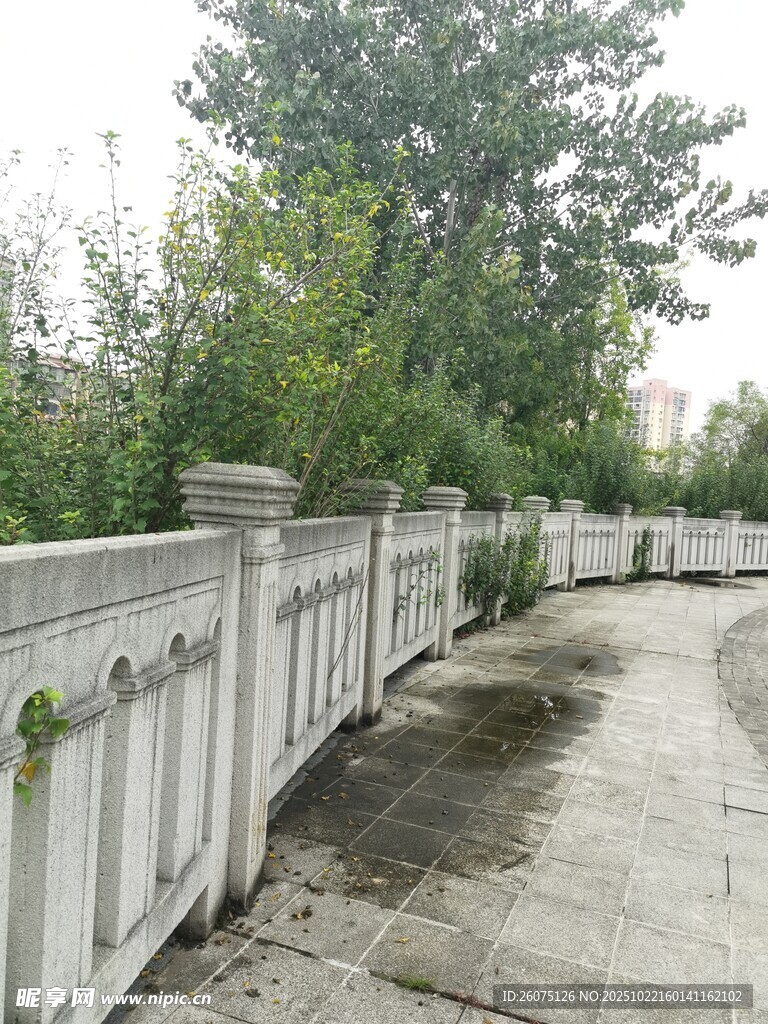 户外白色围栏旁的小径
