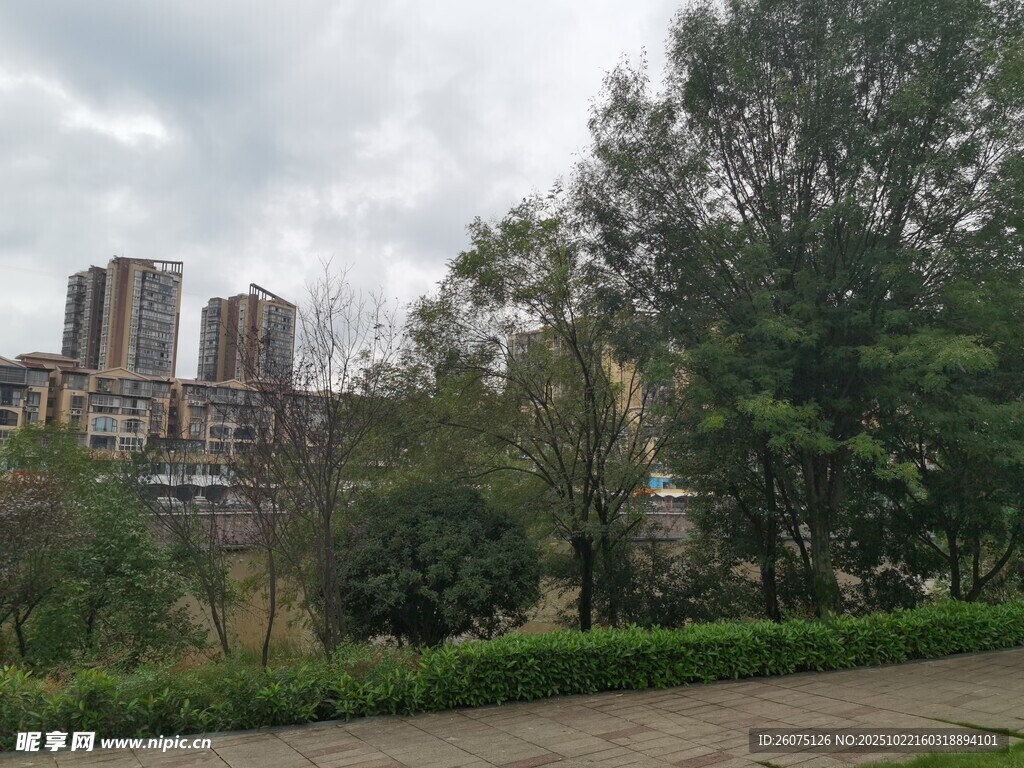 城市边的绿树与开阔步道