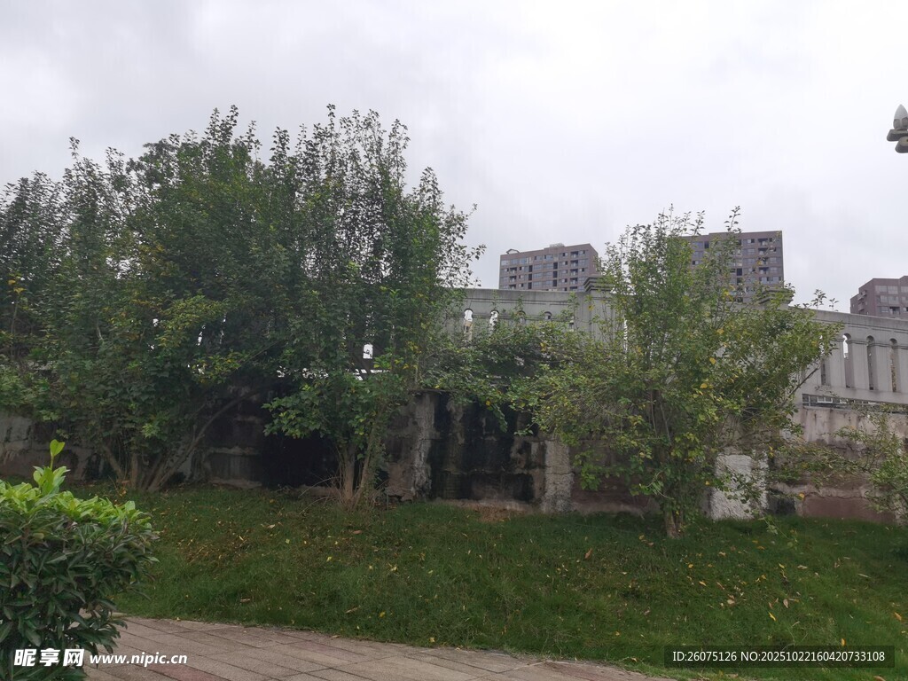 户外绿植环绕的宁静场景
