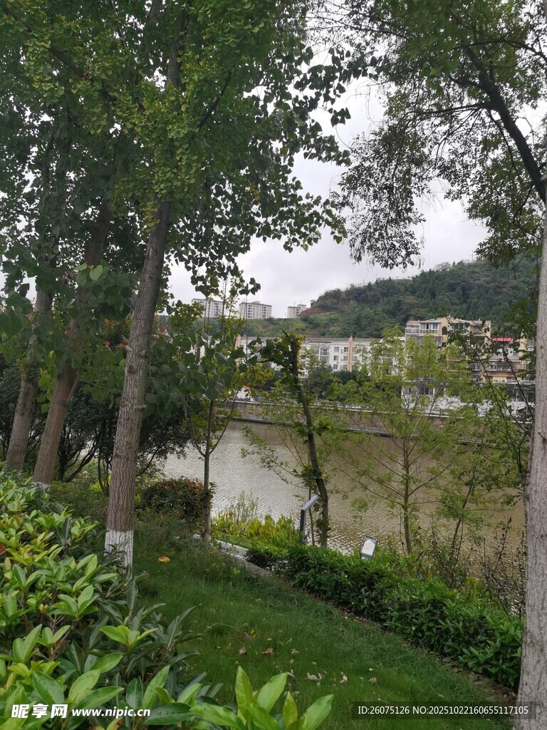 河畔绿树成荫的自然景致