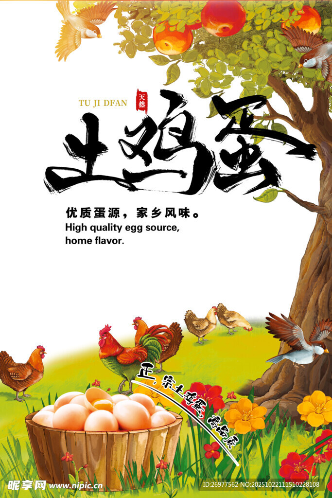土鸡