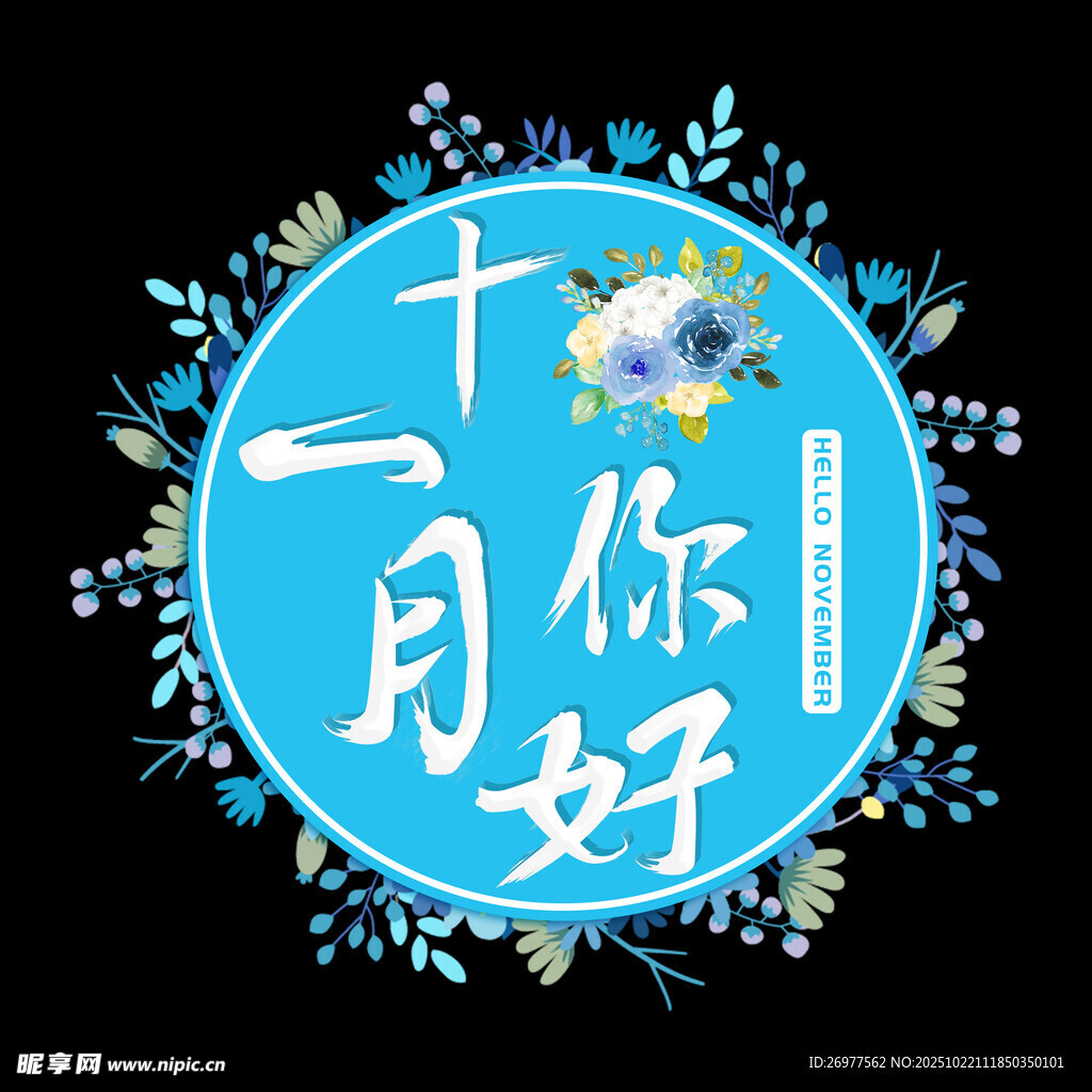 十一月你好 