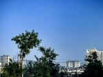 城市绿树蓝天景致