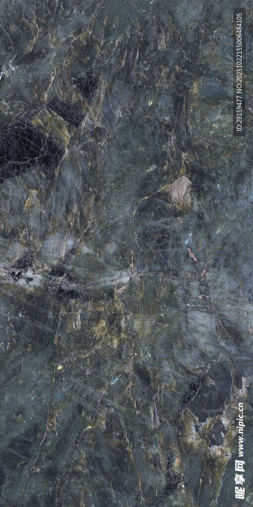 水底景象