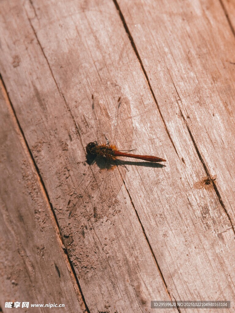 木板上的铁钉