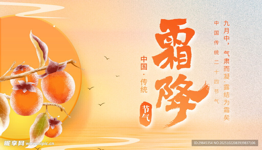 霜降时节枝头挂柿子