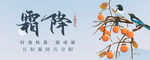 霜降时节枝头橙黄美景
