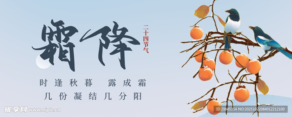 霜降时节枝头橙黄美景