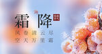 霜降时节的甜蜜柿子