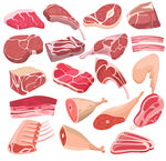 多样肉类食材插画展示