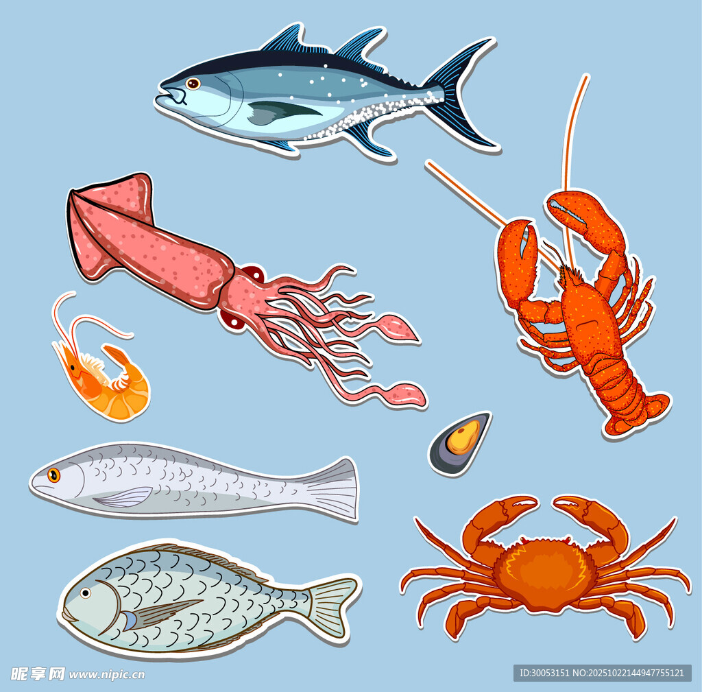 海洋鱼类与虾蟹插画