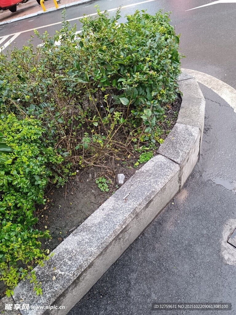 路边绿植与石砌花坛