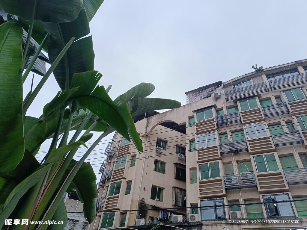 居民楼旁的绿植景观