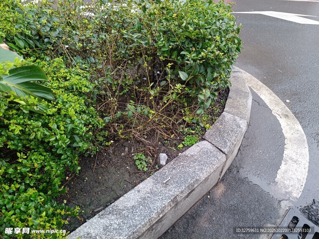 路边绿植与弧形石栏