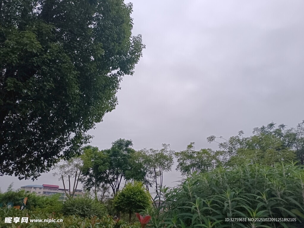 户外绿植景观