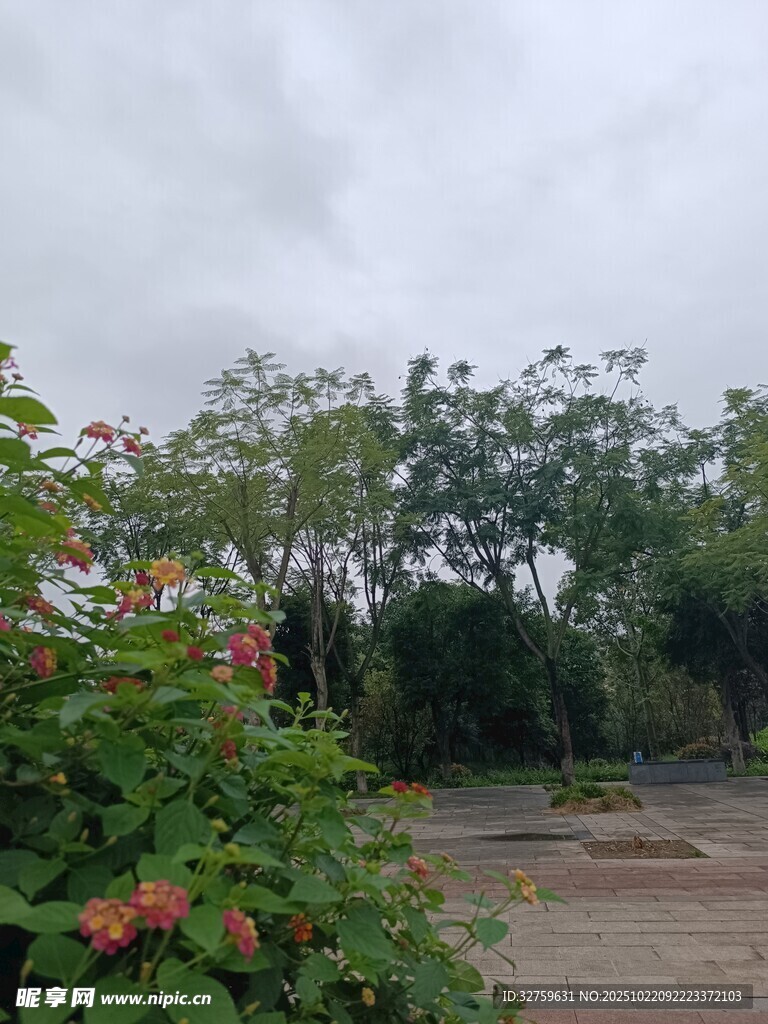户外绿植与开阔景致