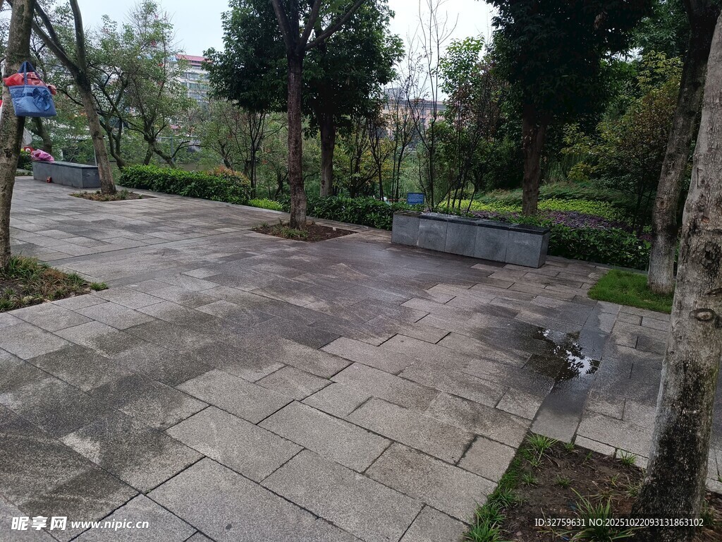 公园中的宽敞砖石铺地场景