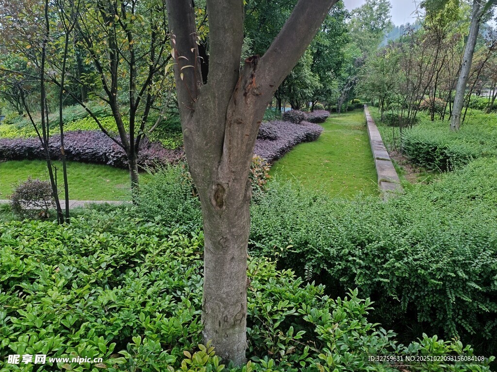 园林绿植景观一角