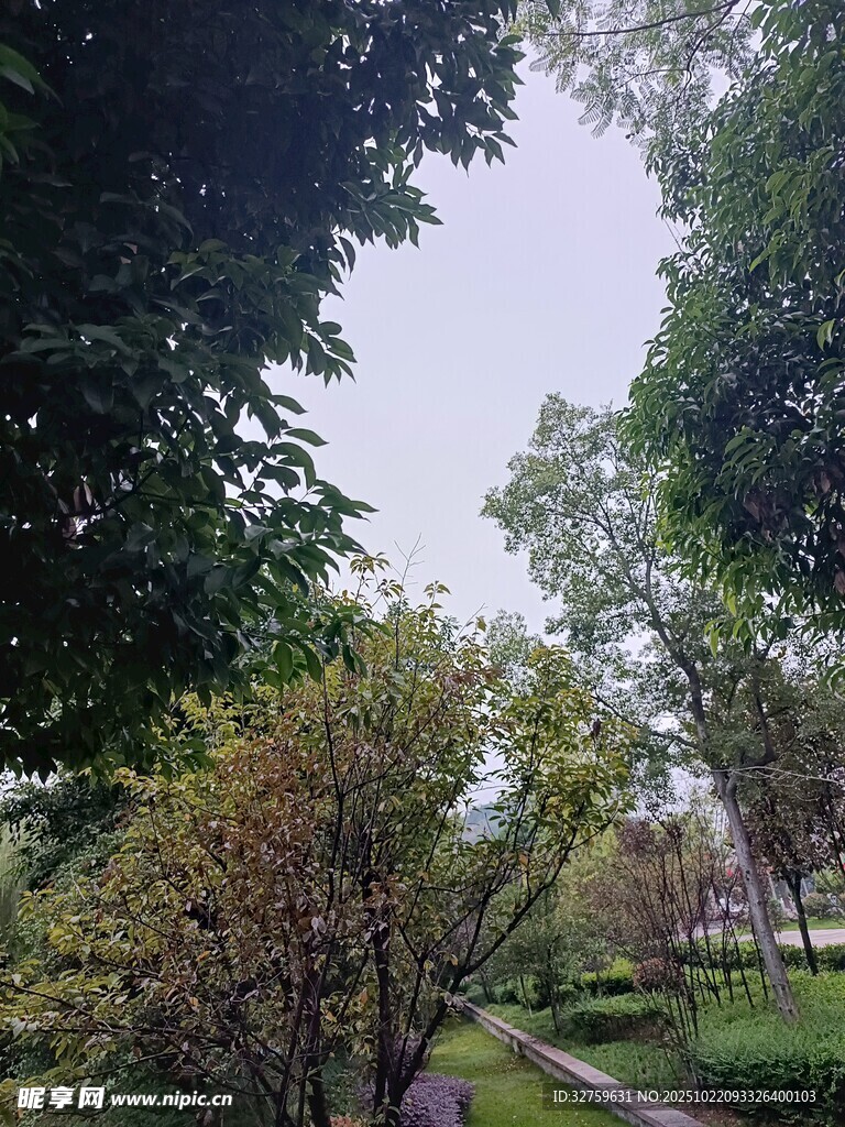 林间小道 