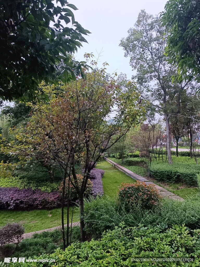 园林景观中的绿植小径