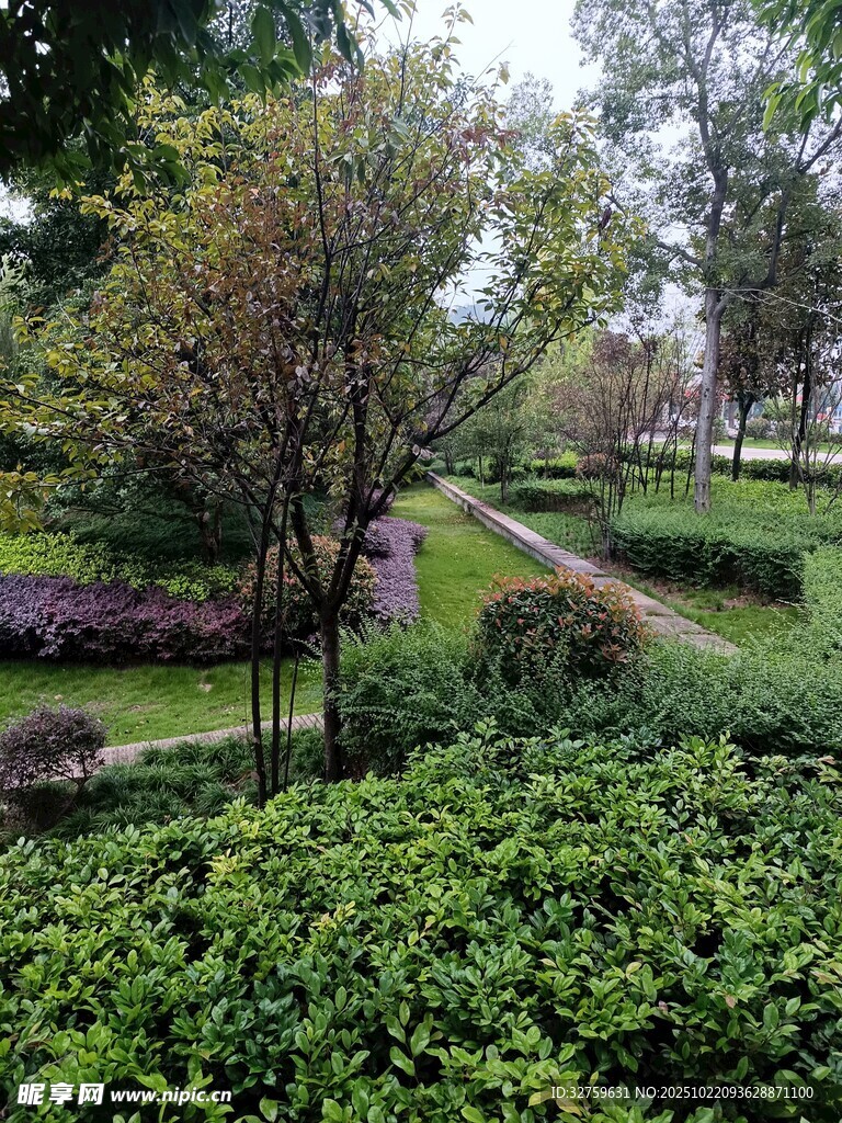园林绿植景观