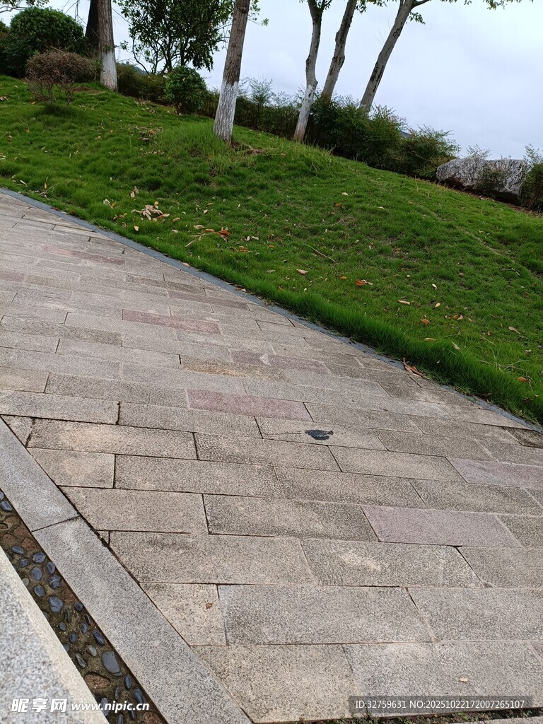 石板小径旁的翠绿草地