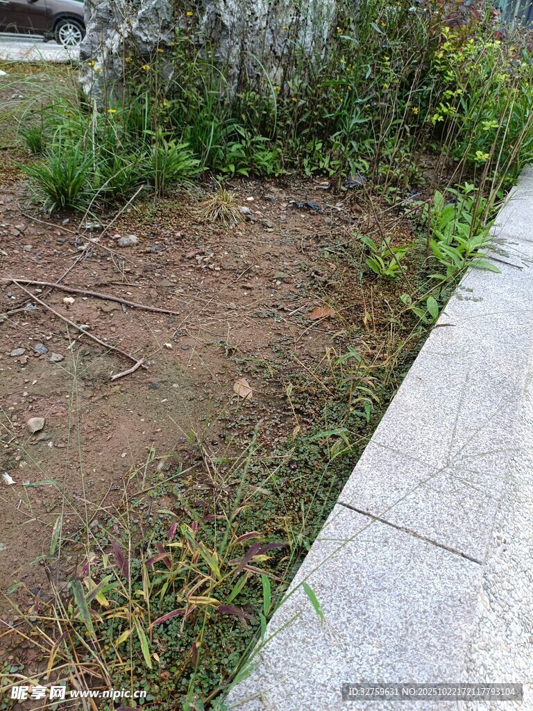 路边裸露土地与零星植被