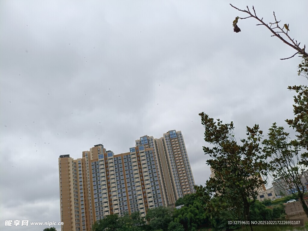 高楼矗立在绿树旁