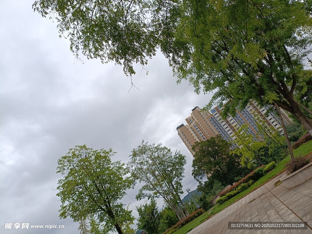 阴天城市绿植景观