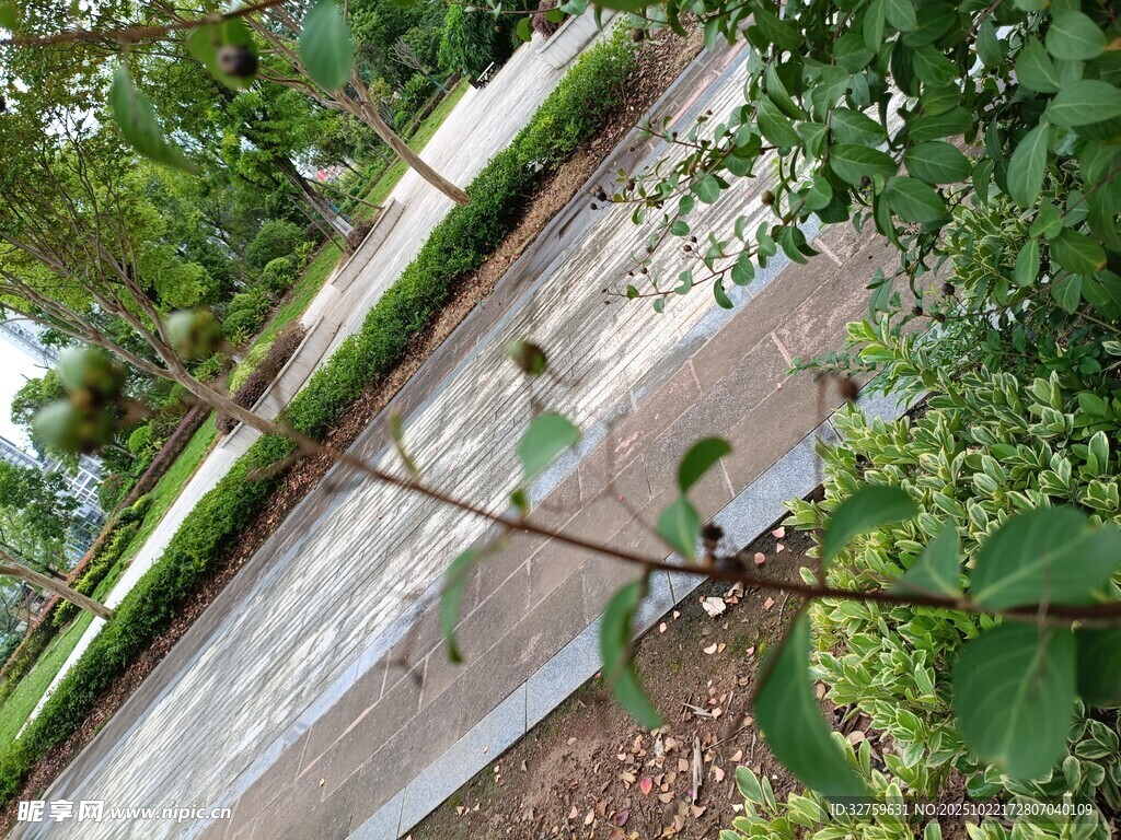 户外木质结构与绿植景观