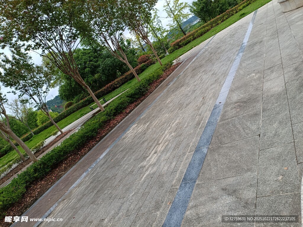 乡村水泥路旁绿植景观