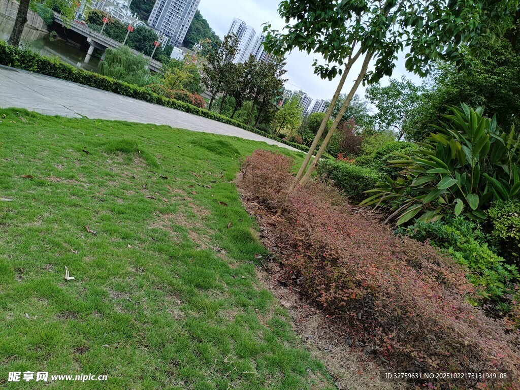 路边绿意盎然的草地景观
