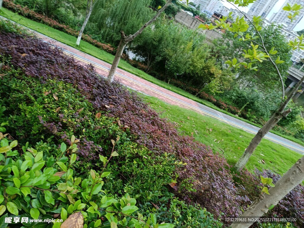 户外绿植环绕的小径