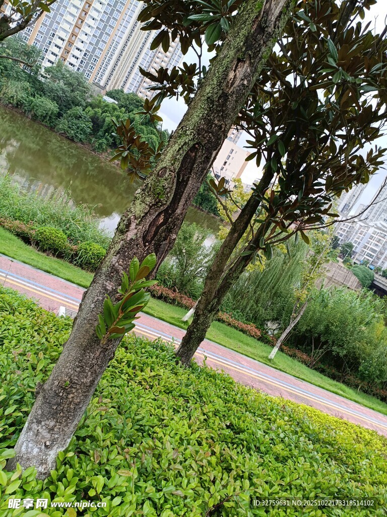 城市公园绿意盎然的景致
