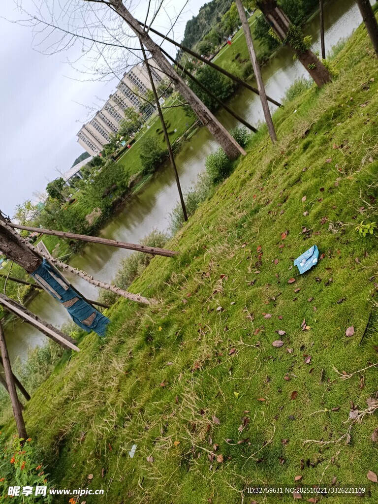 户外草地与远处建筑景观