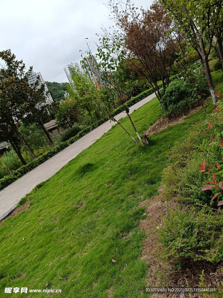 绿意盎然的公园小径