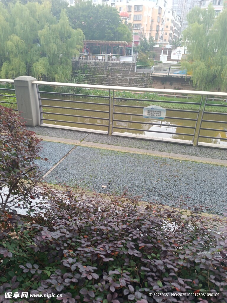 雨中河畔景致