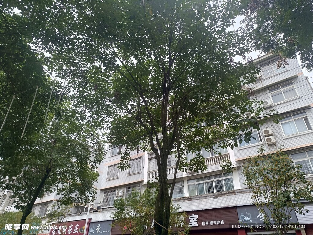 绿树掩映下的多层建筑