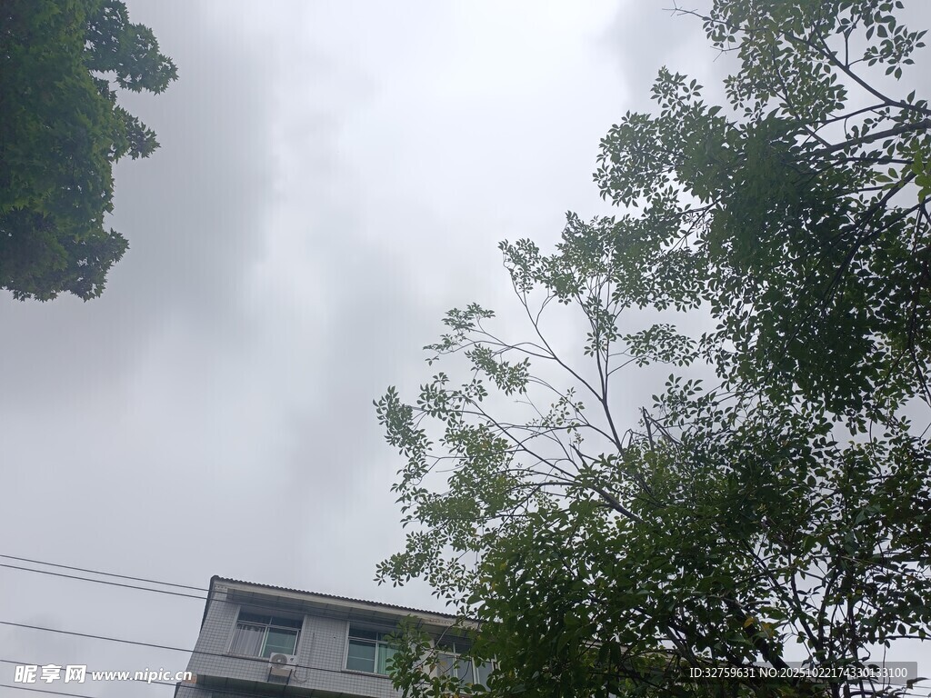 阴天时的房屋与树木