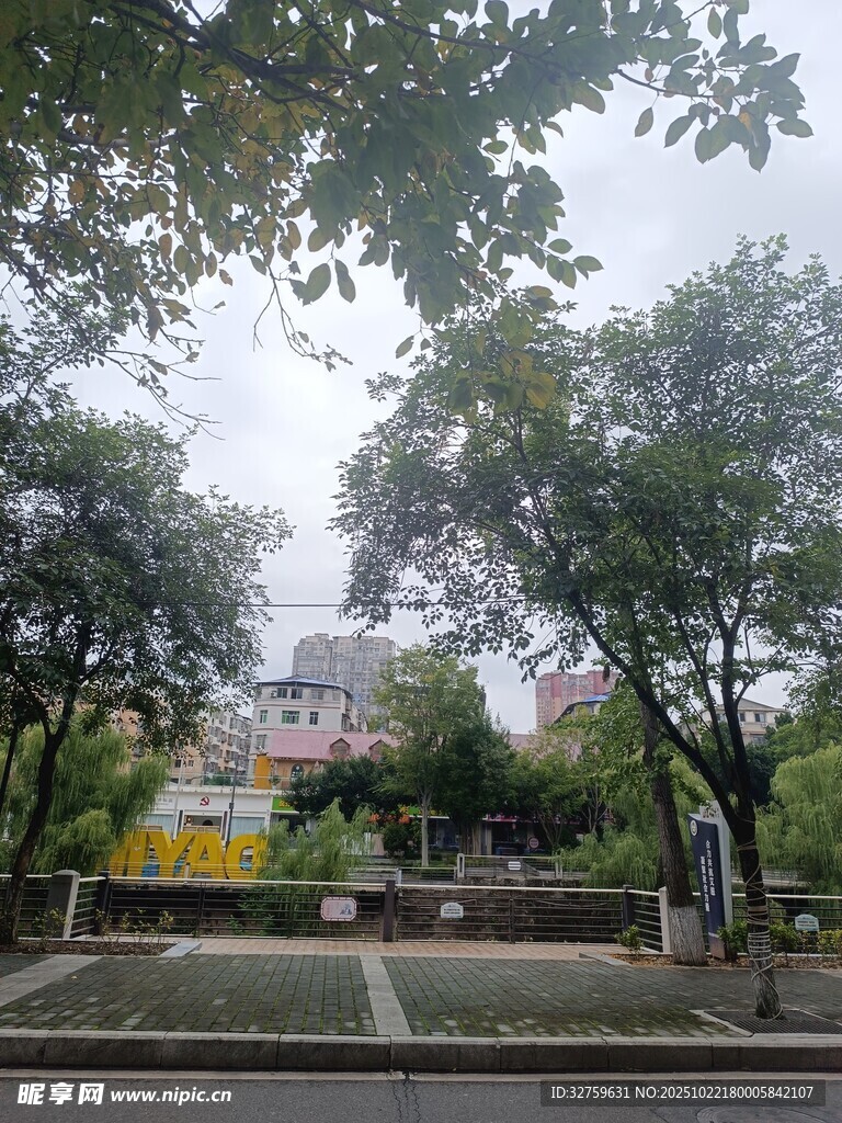 城市中的静谧绿化空间