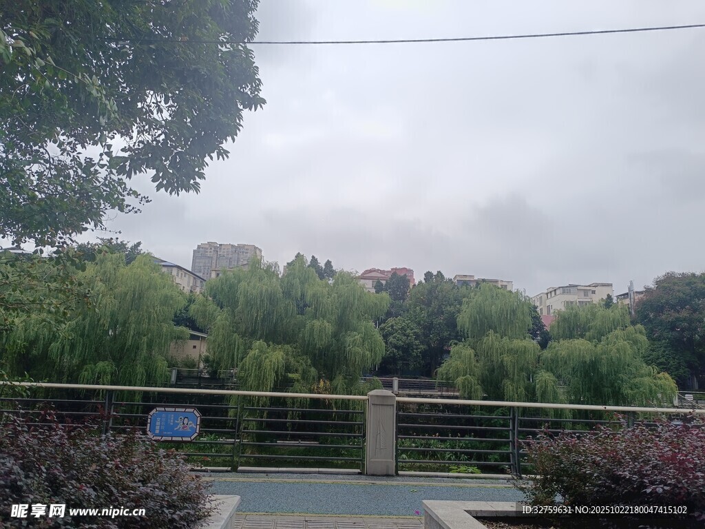 户外绿植环绕的静谧场景