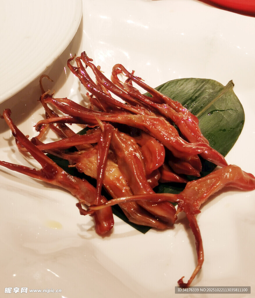 鸭舌